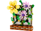 Flower Trellis Display